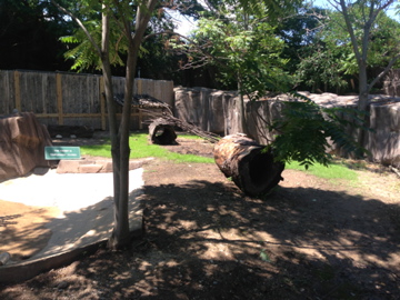 7/23/2014 - Right Half of New Red River Hog Exhibit