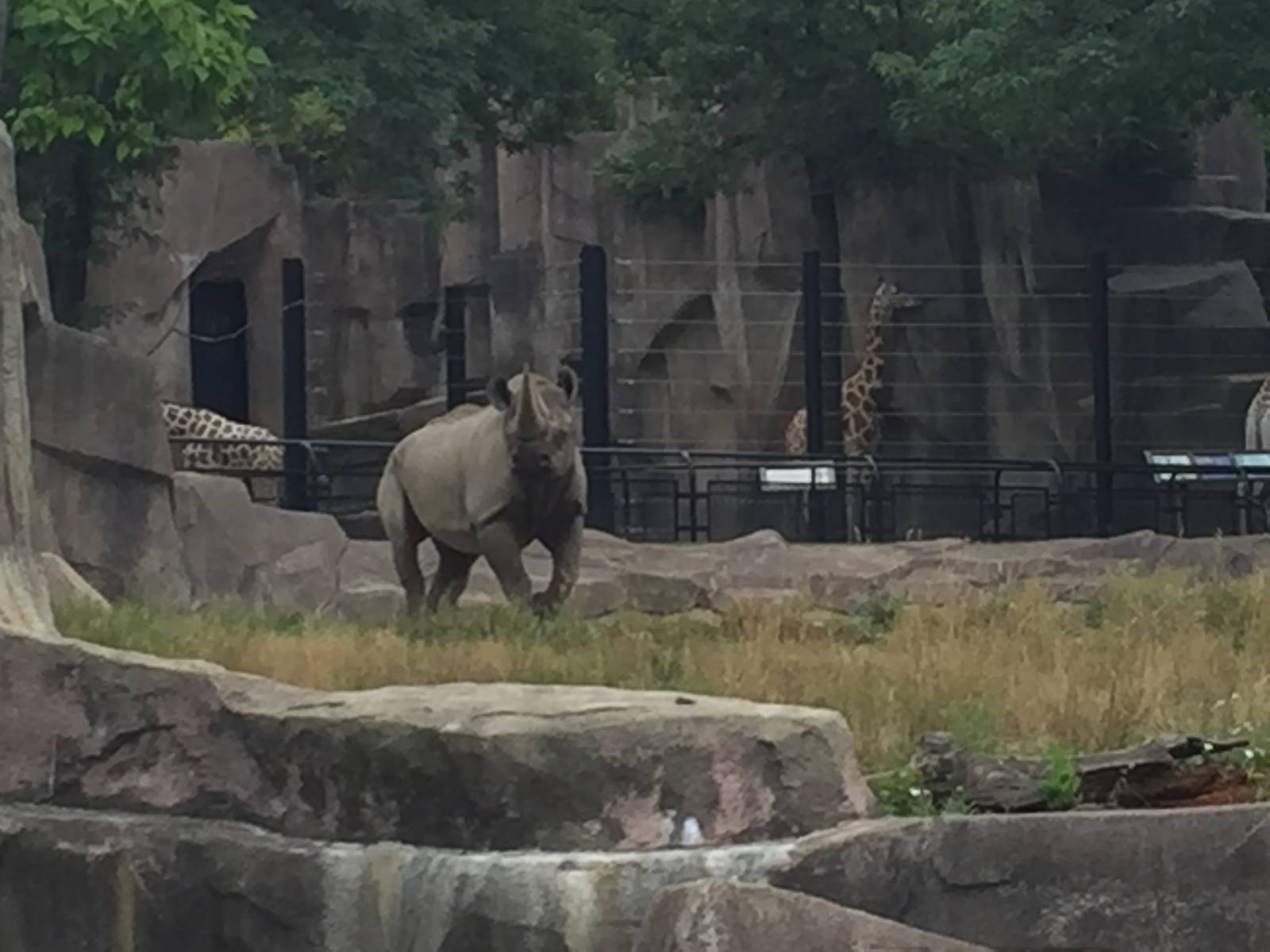 7/23/2016 - Mimi In Her New Exhibit