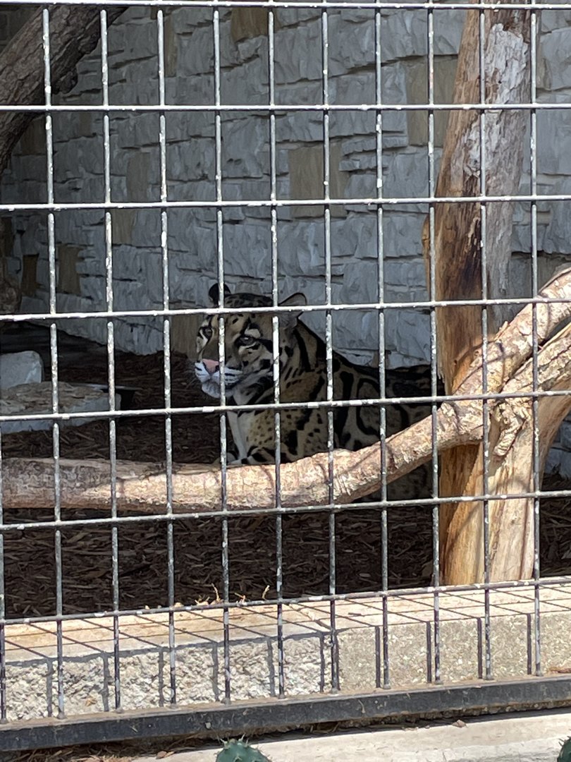 7/23/2022 - Clouded in Shadows