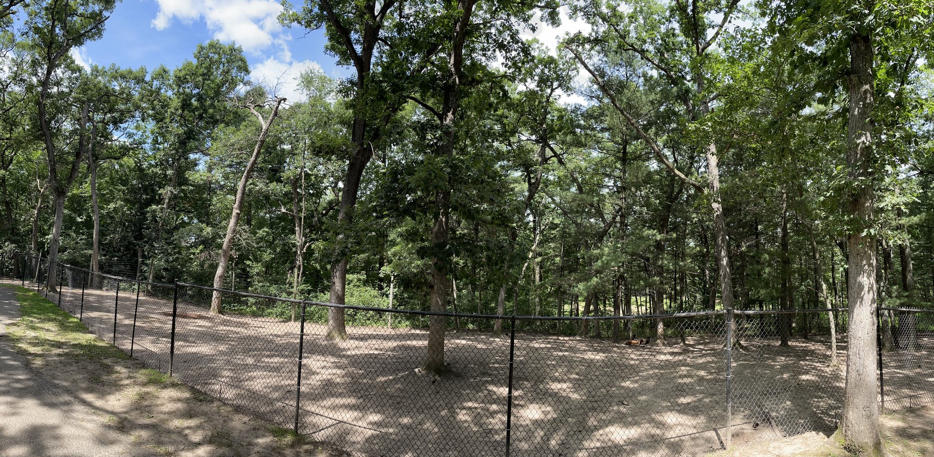 7/23/2022 - Lowland Anoa Habitat