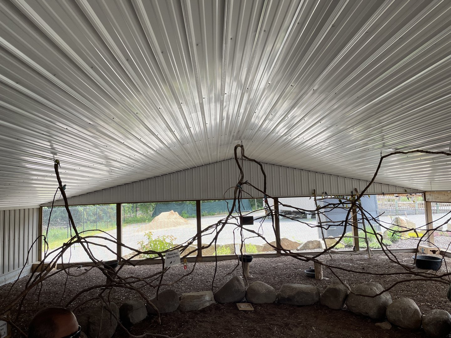 7/23/2022 - Parakeet Encounter