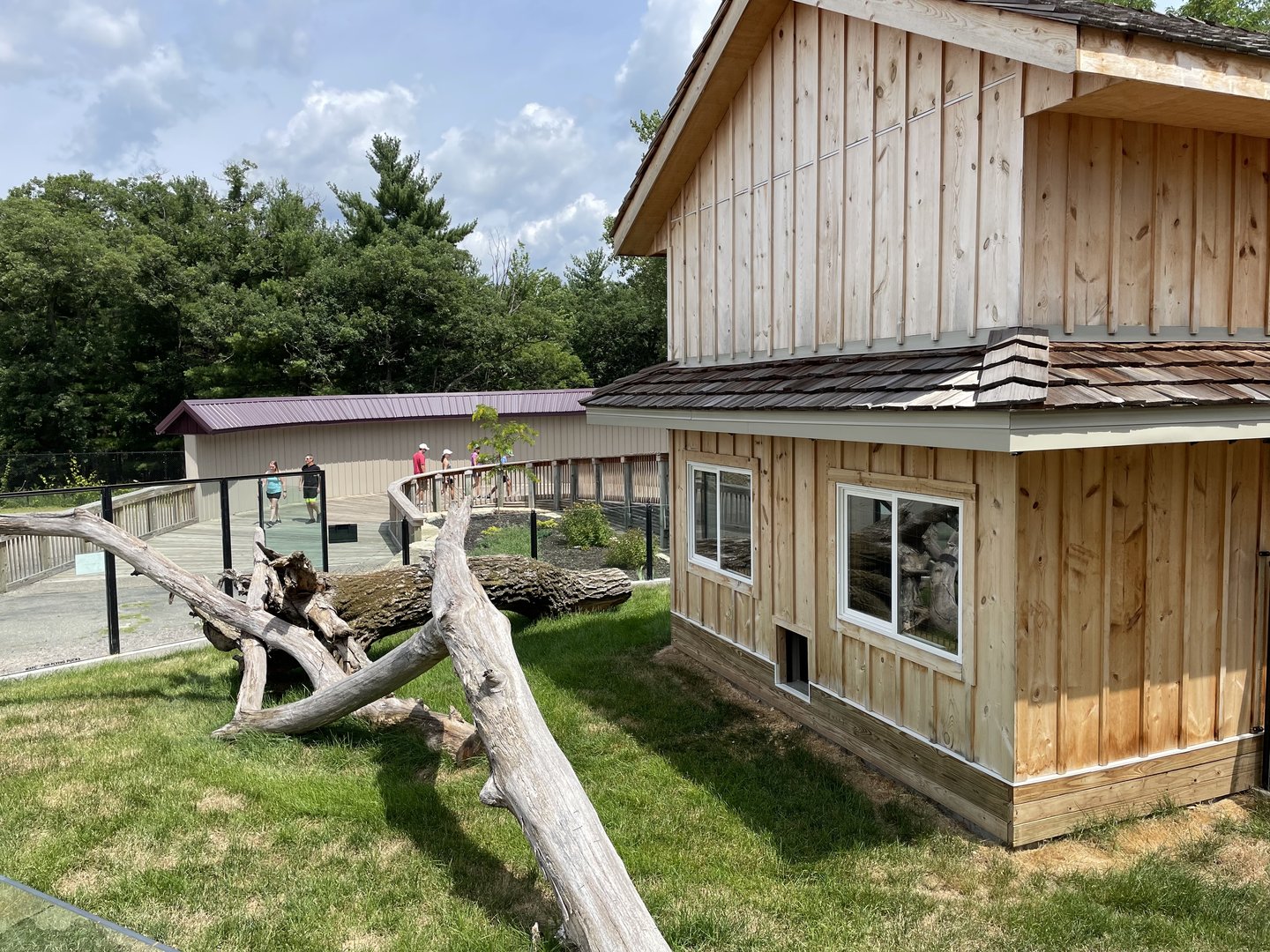 7/23/2022 - Red Panda Habitat