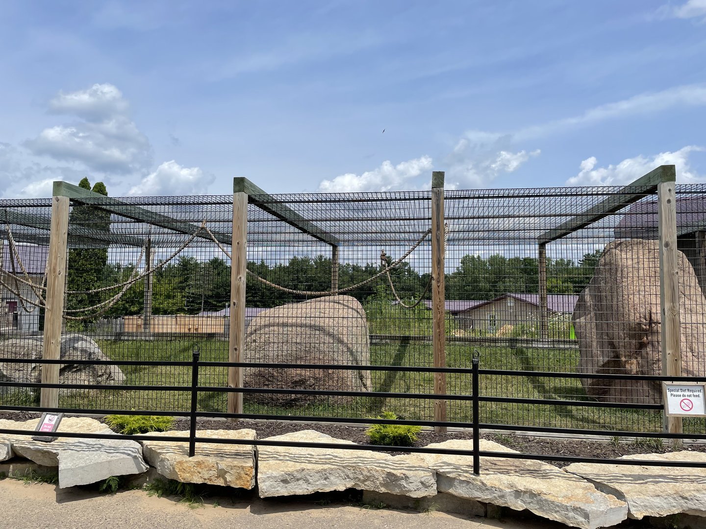 7/23/2022 - Spider Monkey Exhibit