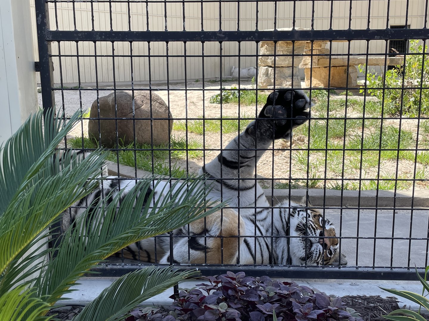 7/23/2022 - Too Hot…