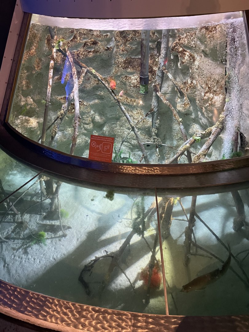 7/24/2021 - Amazon Tank