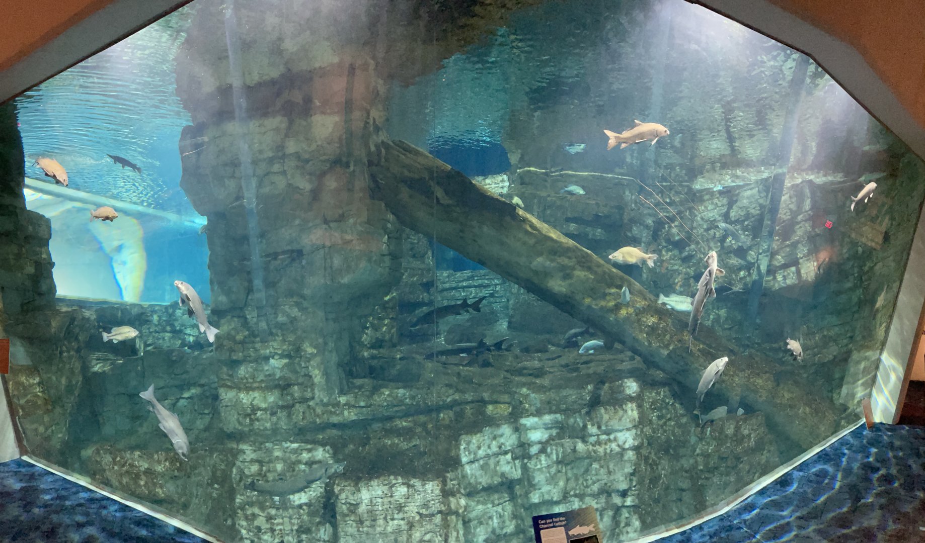 7/24/2021 - Lake Michigan Tank Panorama