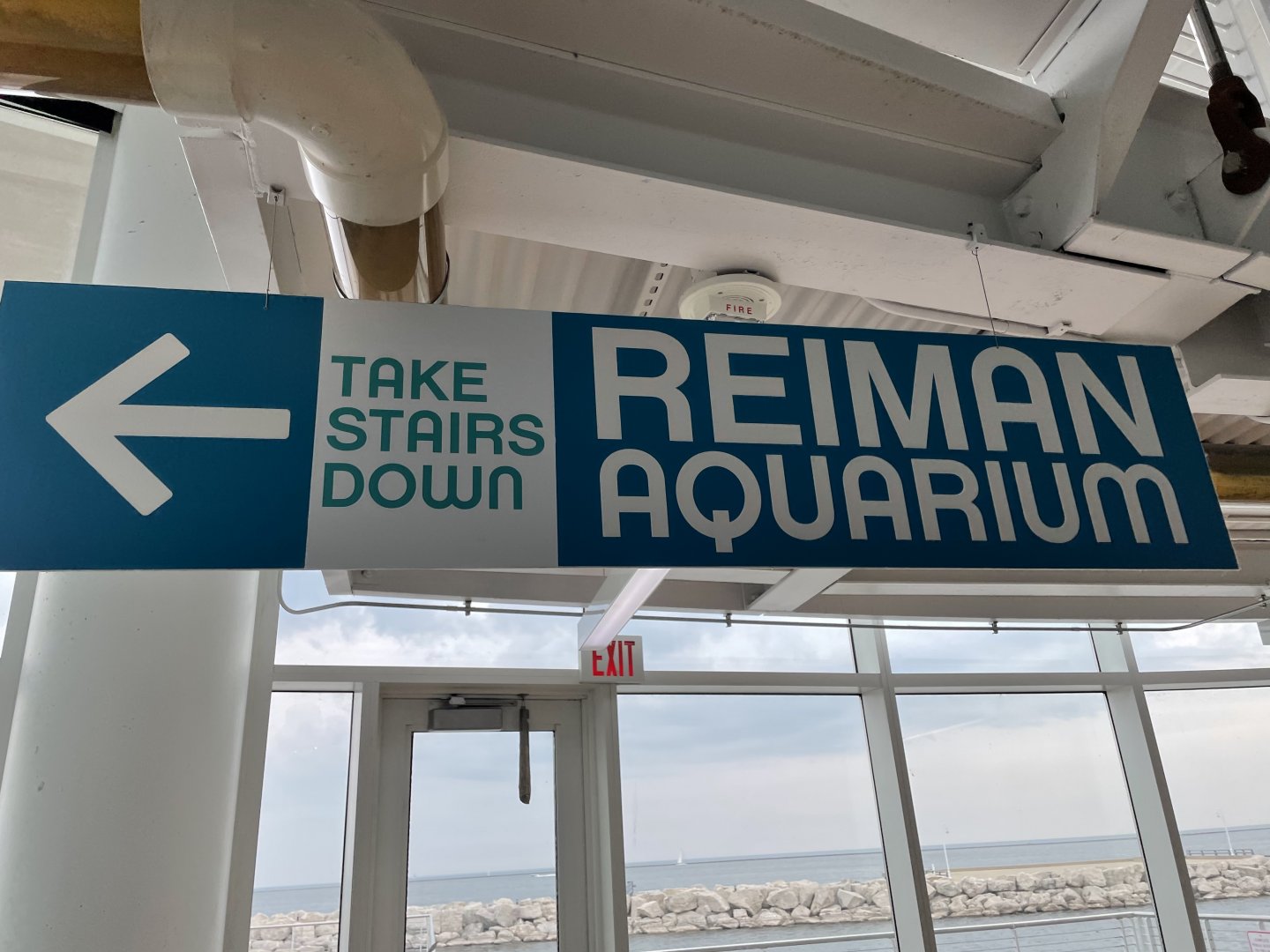 7/24/2021 - This Way to the Aquarium!