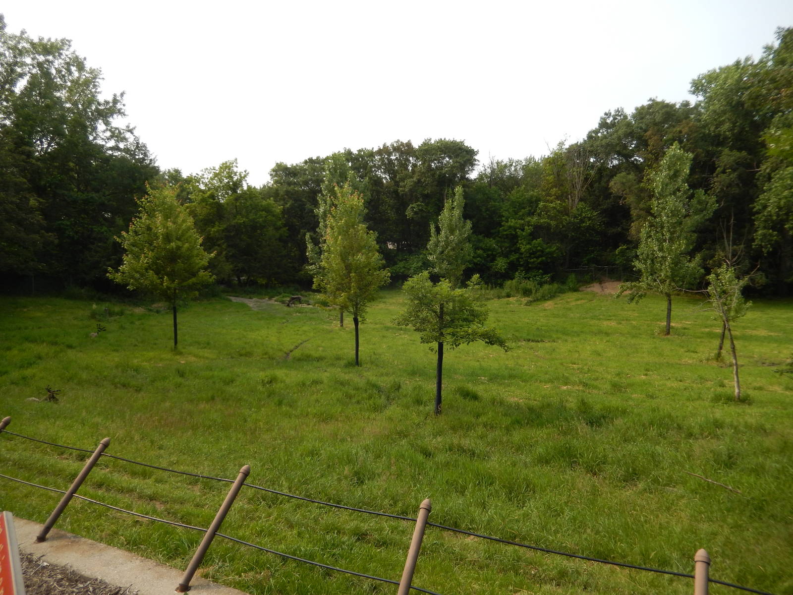 7/3/2015 - Caribou Habitat