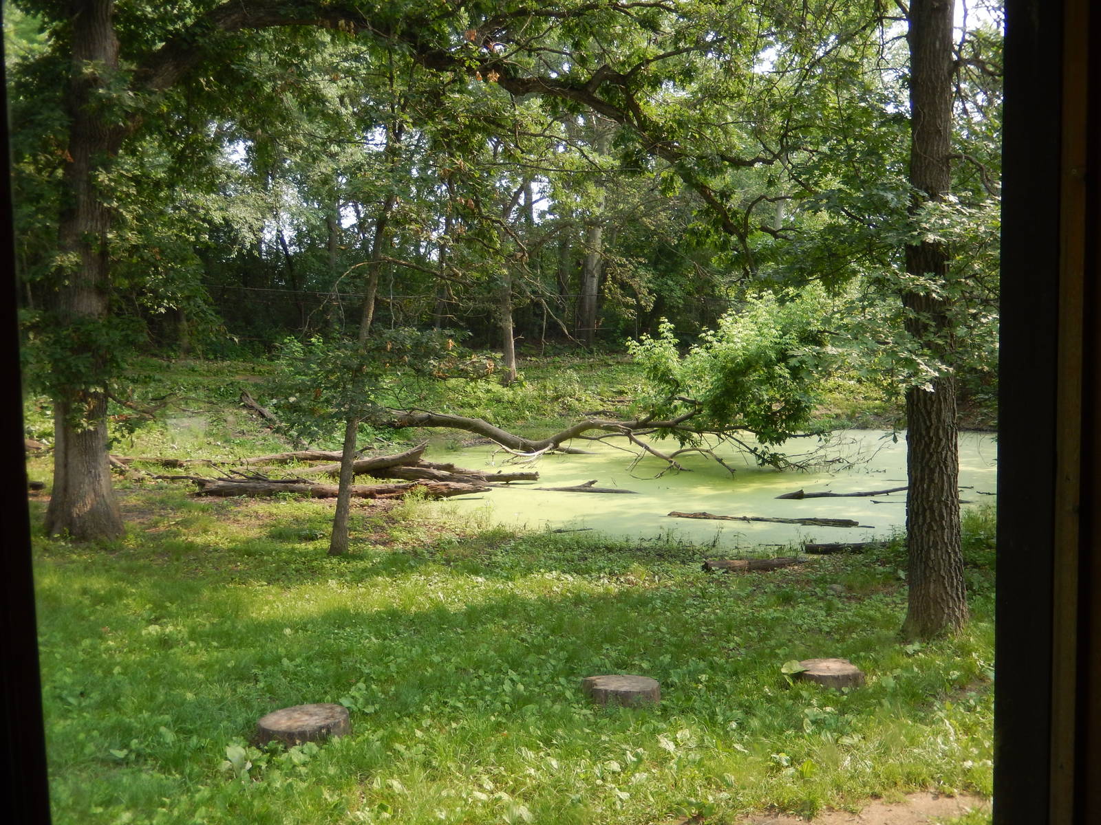 7/3/2015 - Dhole Habitat