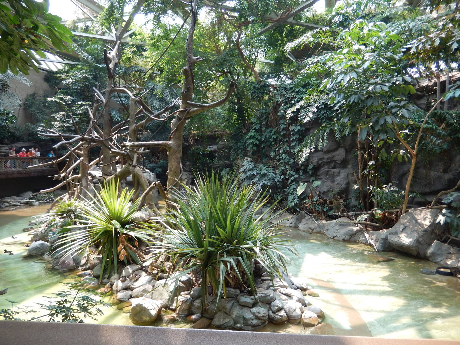 7/3/2015 - Gibbon Lagoon