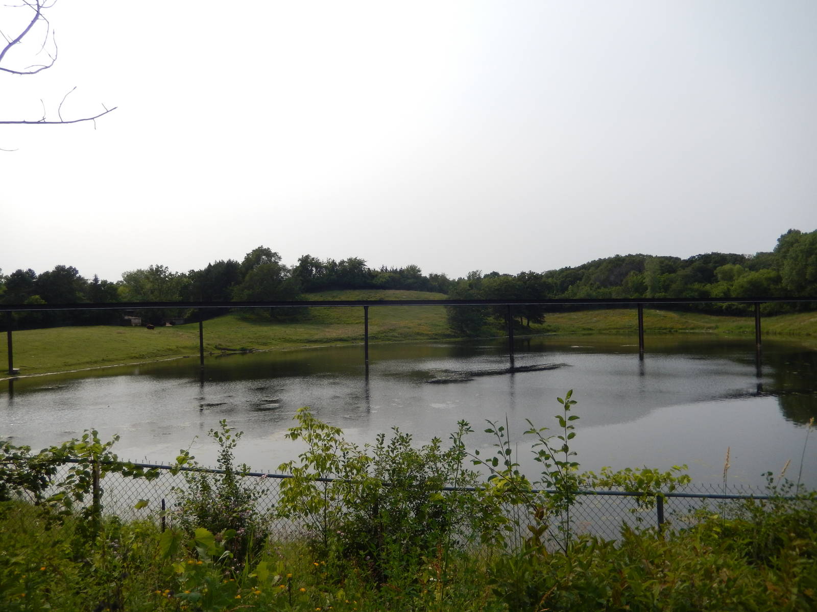 7/3/2015 - Musk Ox Habitat