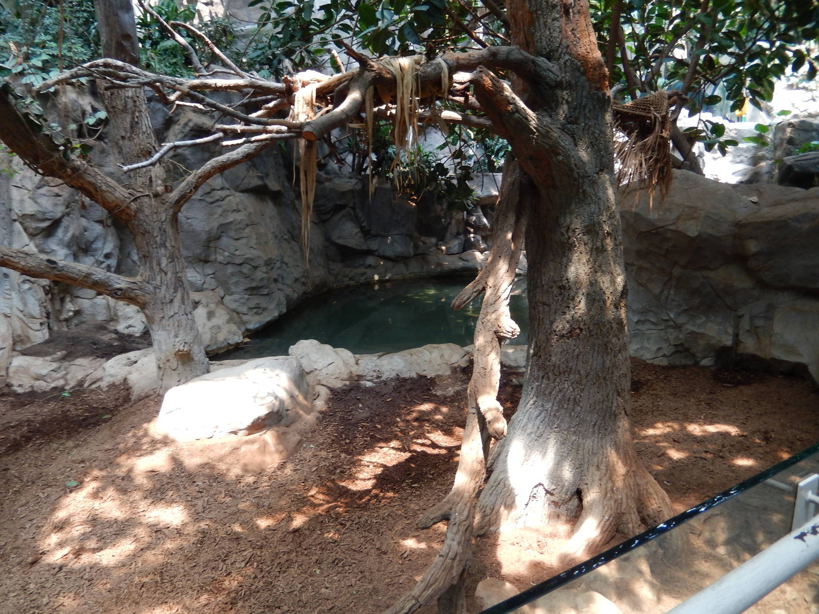 7/3/2015 - Right Half of Malayan Tapir/Binturong Exhibit