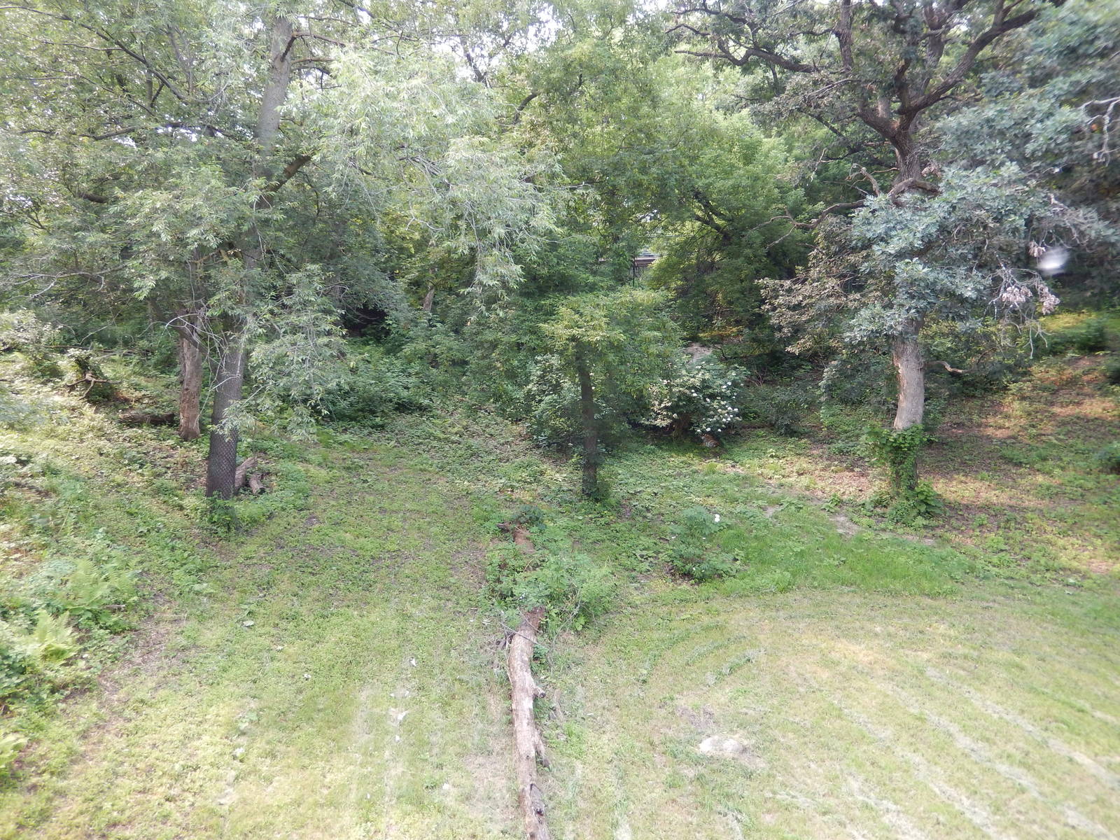 7/3/2015 - Tiger Base Camp