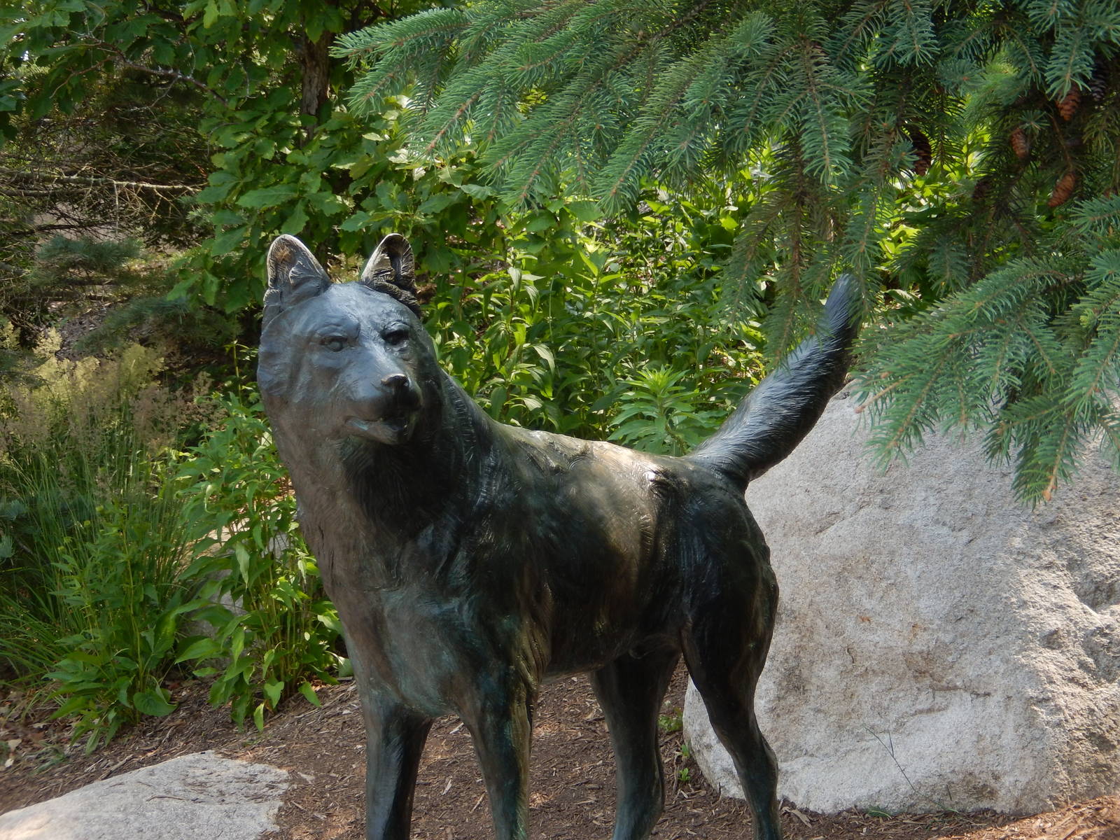 7/3/2015 - Wolf Statue