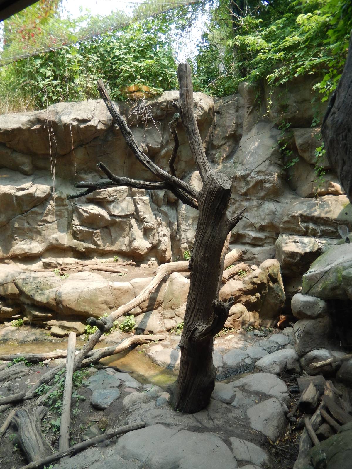 7/3/2015 - Wolverine Habitat