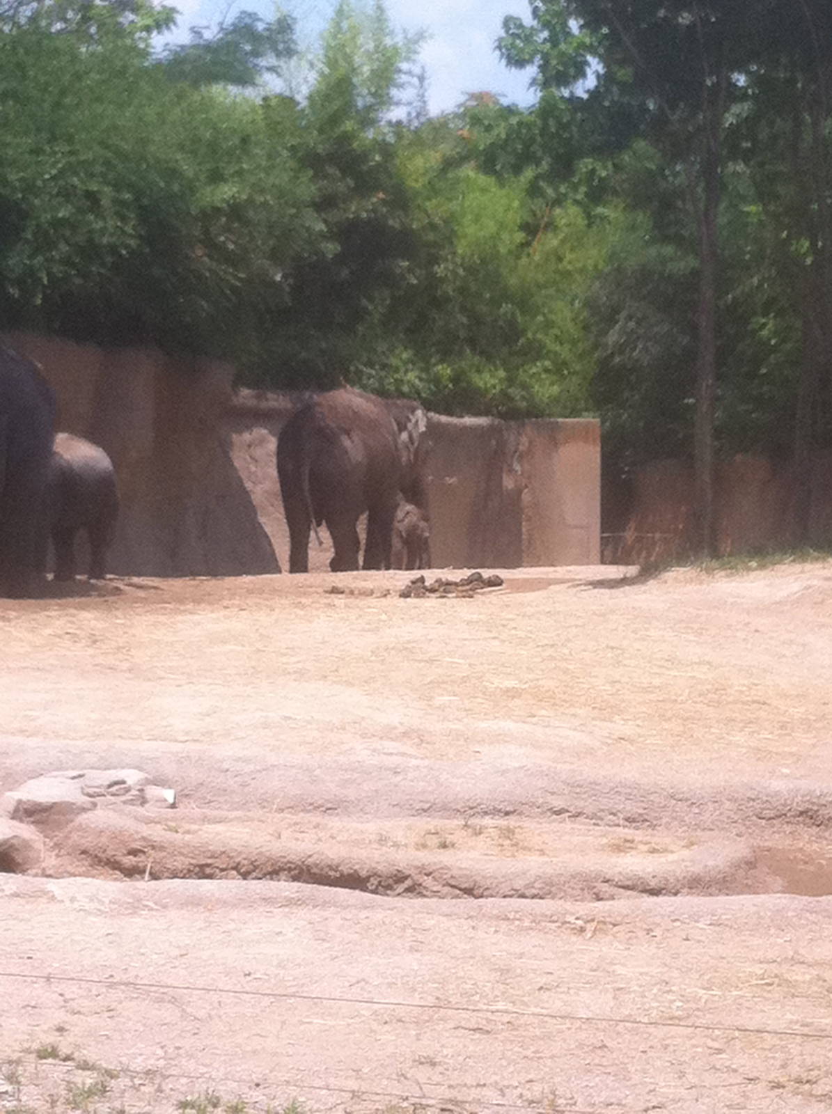 7/5/2013 - Priya and her Mother