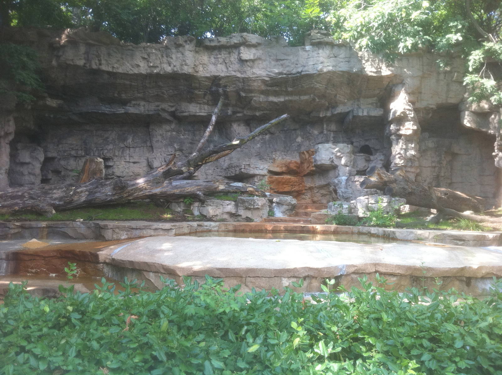 7/5/2013 - Sun Bear Grotto