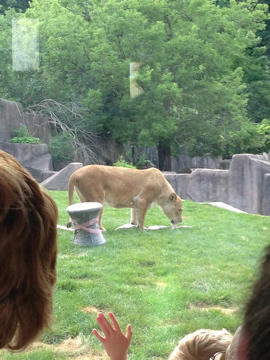 7/9/2014 - Sanura the Birthday Girl