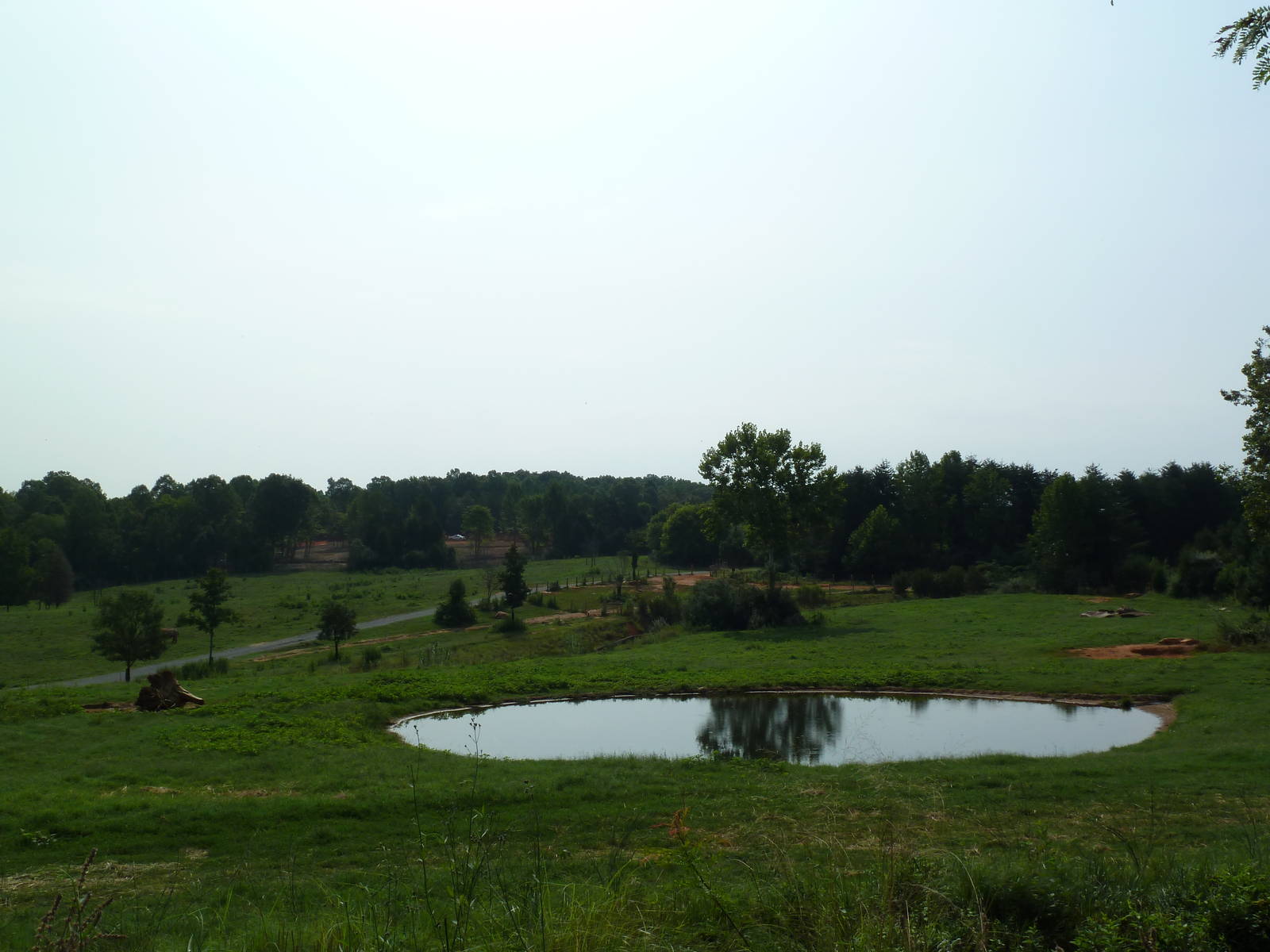 7-Acre African Elephant Exhibit