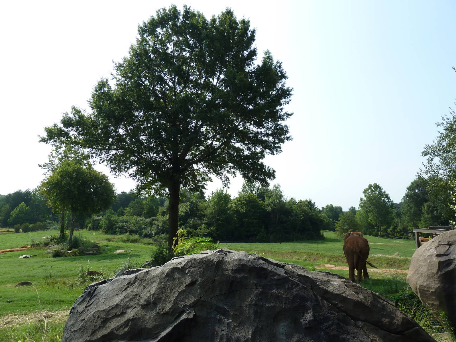 7-Acre African Elephant Exhibit