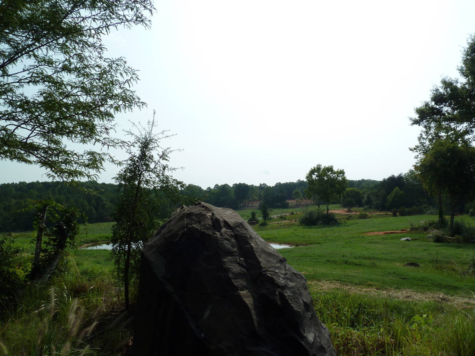 7-Acre African Elephant Exhibit
