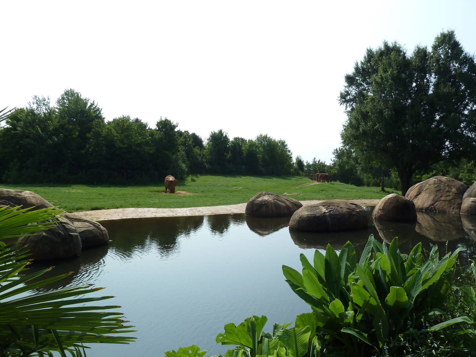 7-Acre African Elephant Exhibit