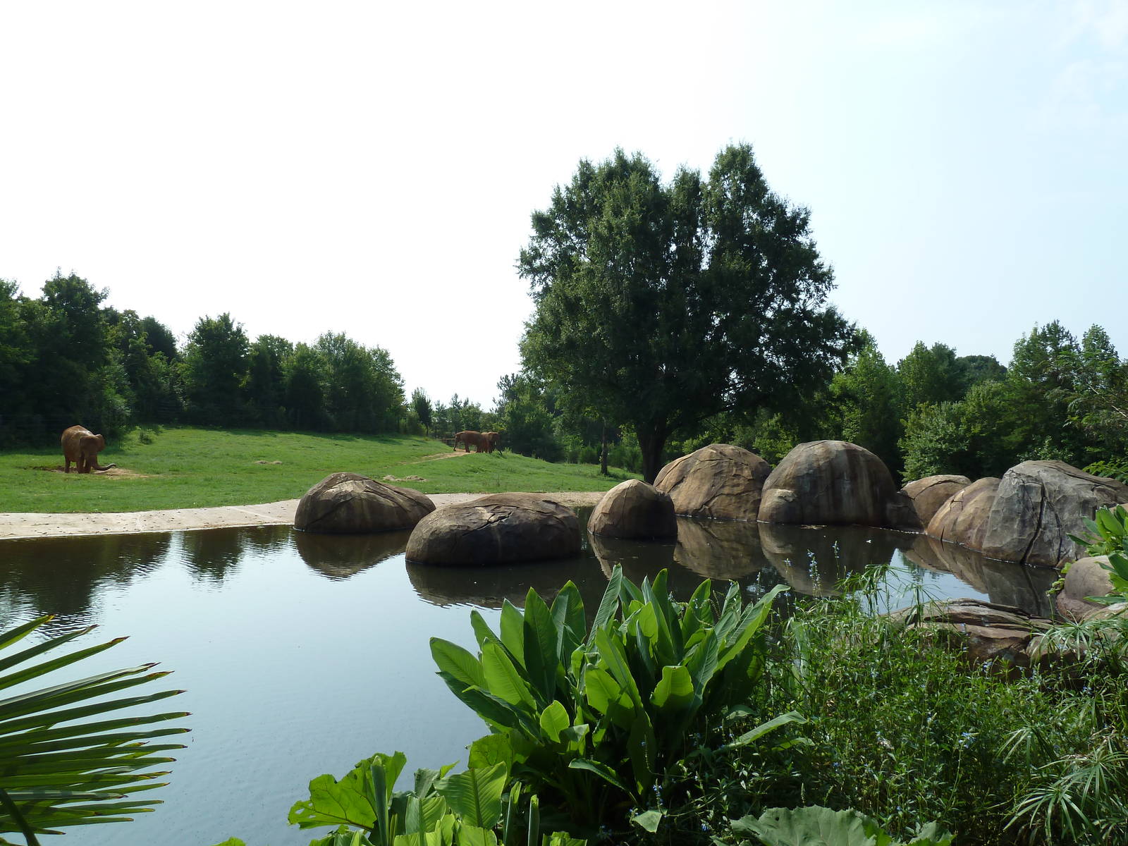 7-Acre African Elephant Exhibit
