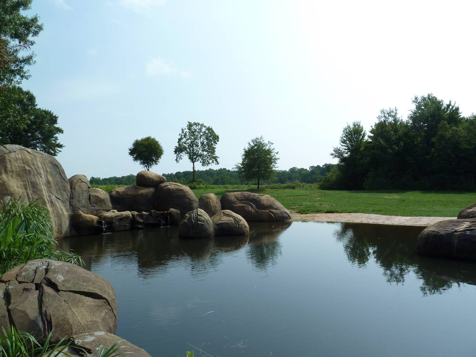 7-Acre African Elephant Exhibit
