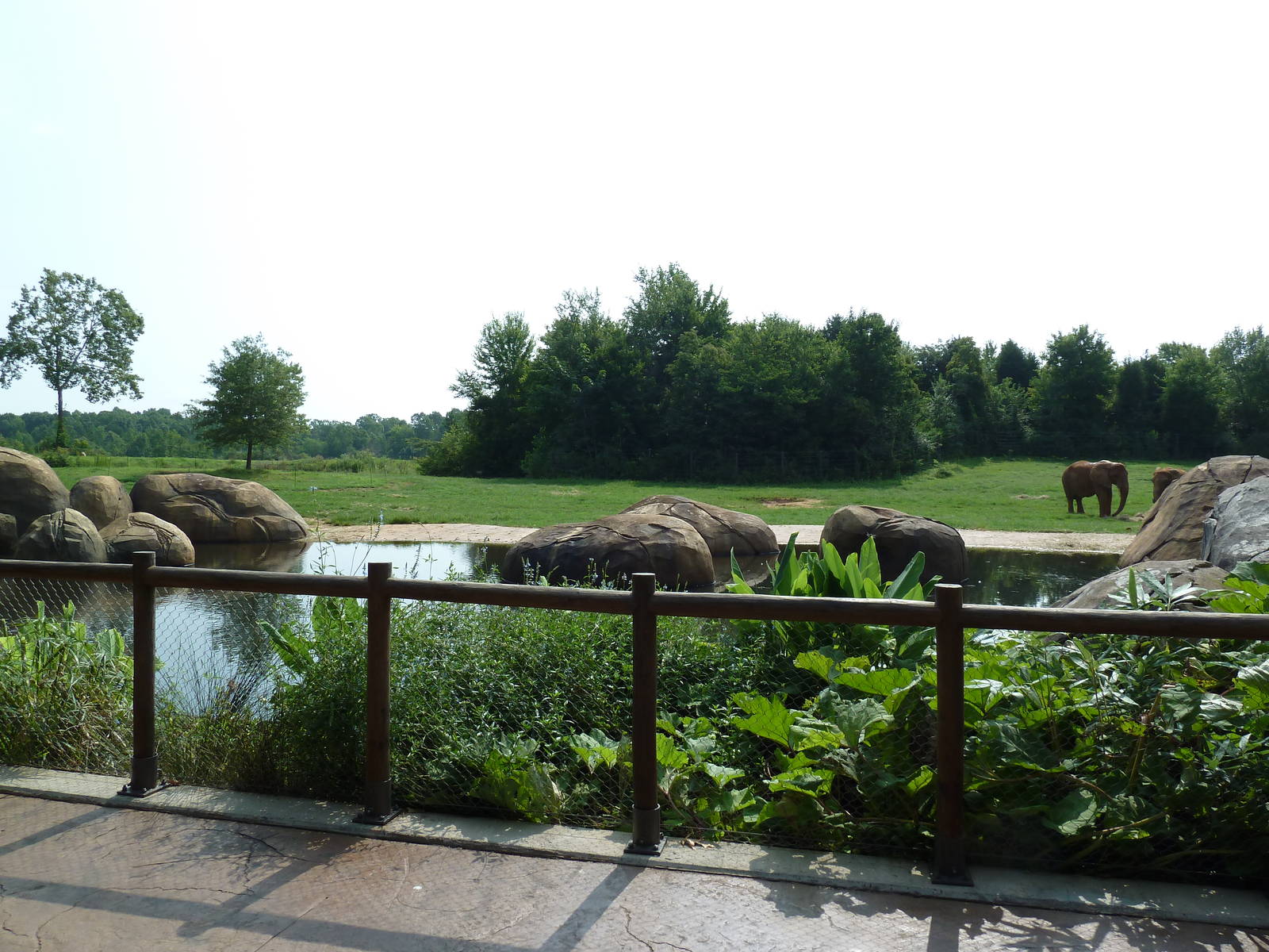 7-Acre African Elephant Exhibit