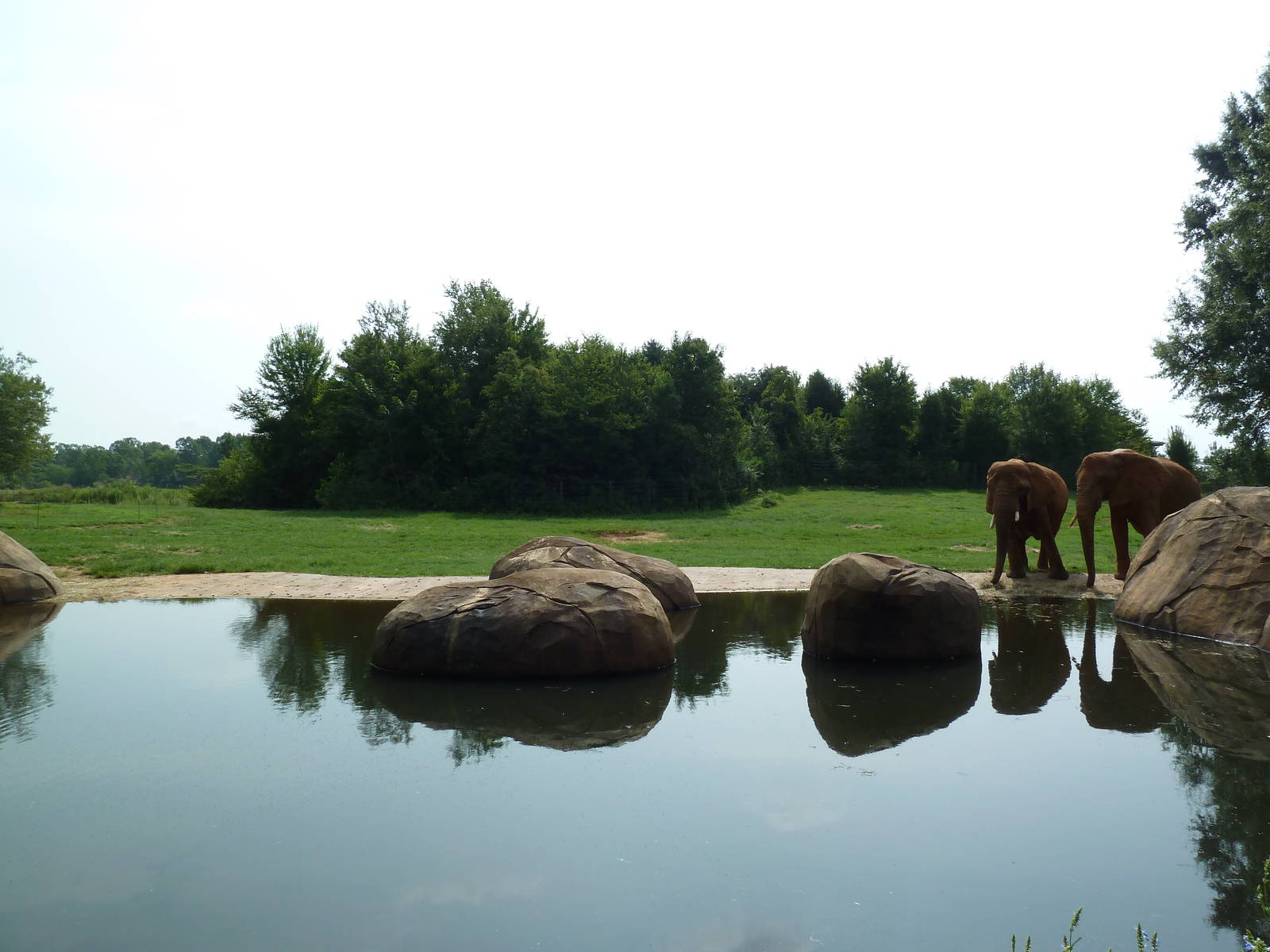 7-Acre African Elephant Exhibit