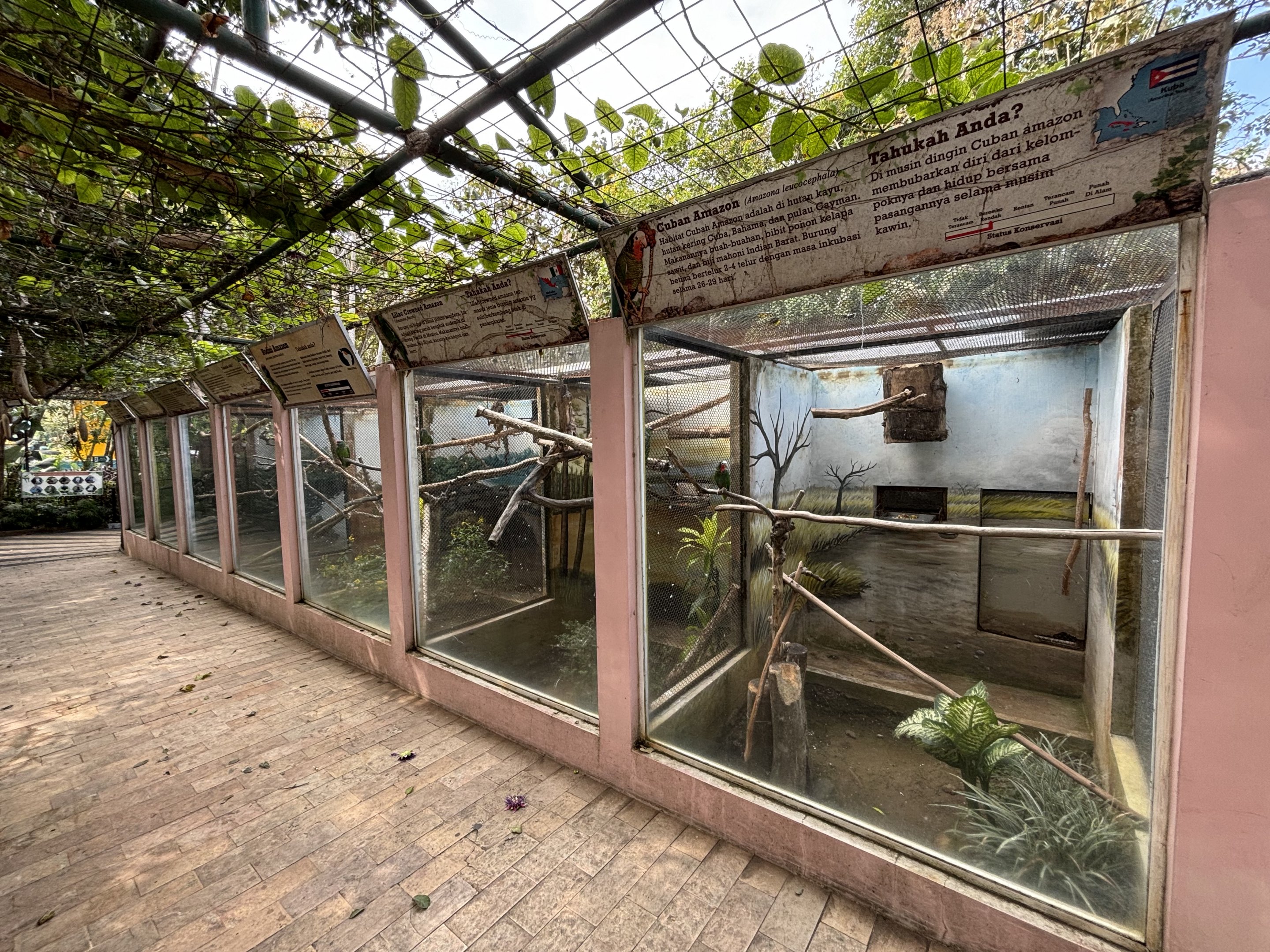 7 Amazon Parrot Aviaries