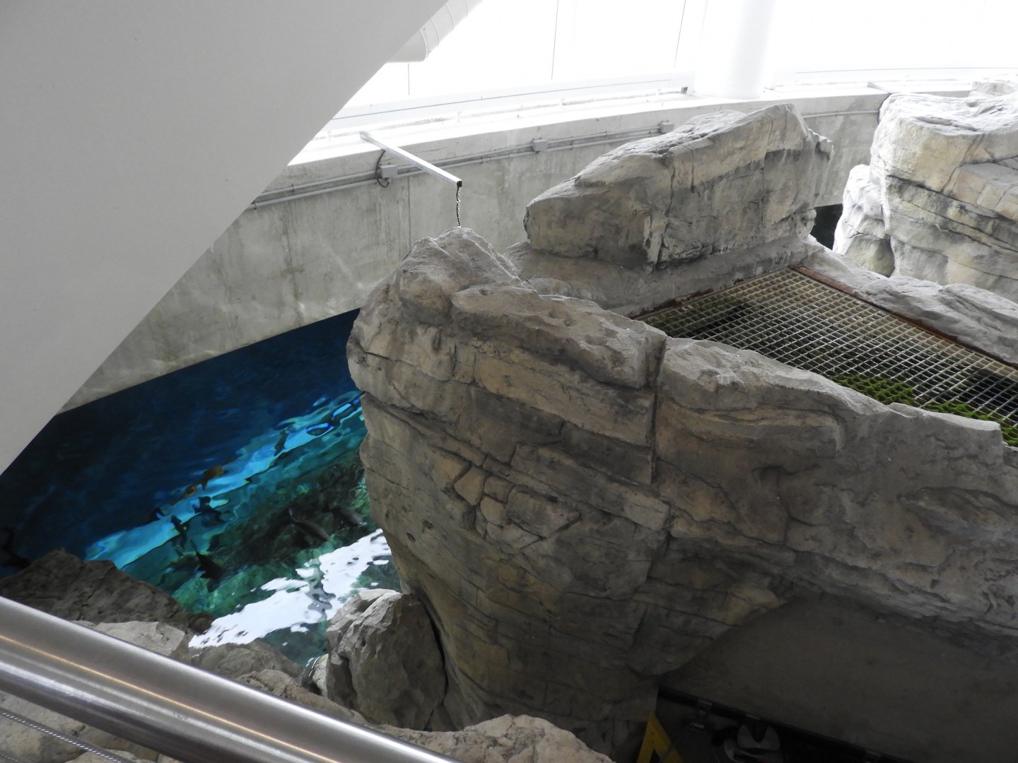 75,000 Gallon Lake Michigan Tank - Surface View - Reiman Aquarium