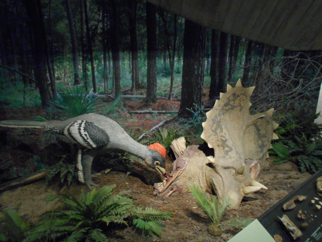 76 million year old marsh diorama