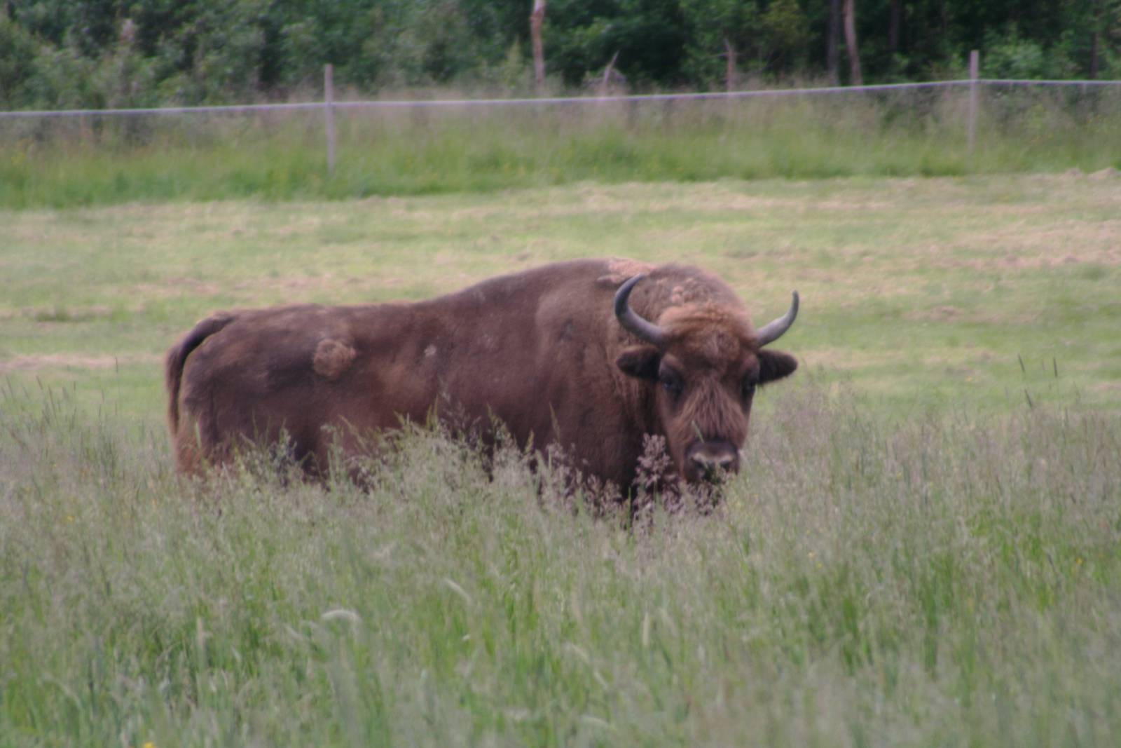 7864 Soligor teleconv 1,4x