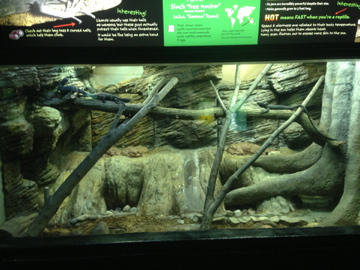 8/11/2014 - Black Tree Monitor Exhibit