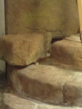 8/11/2014 - King Cobra