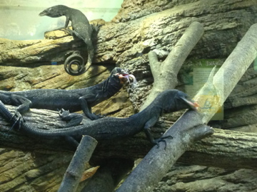 8/11/2014 - Lunch Time!