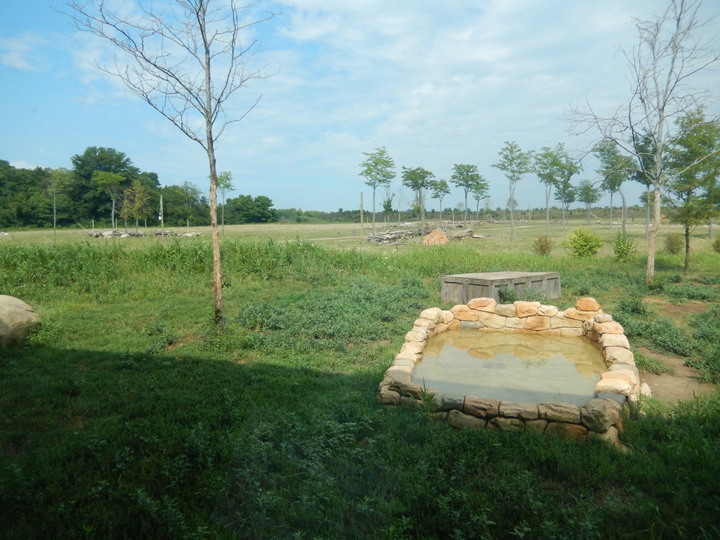 8/11/2018 - A Dramatic African View