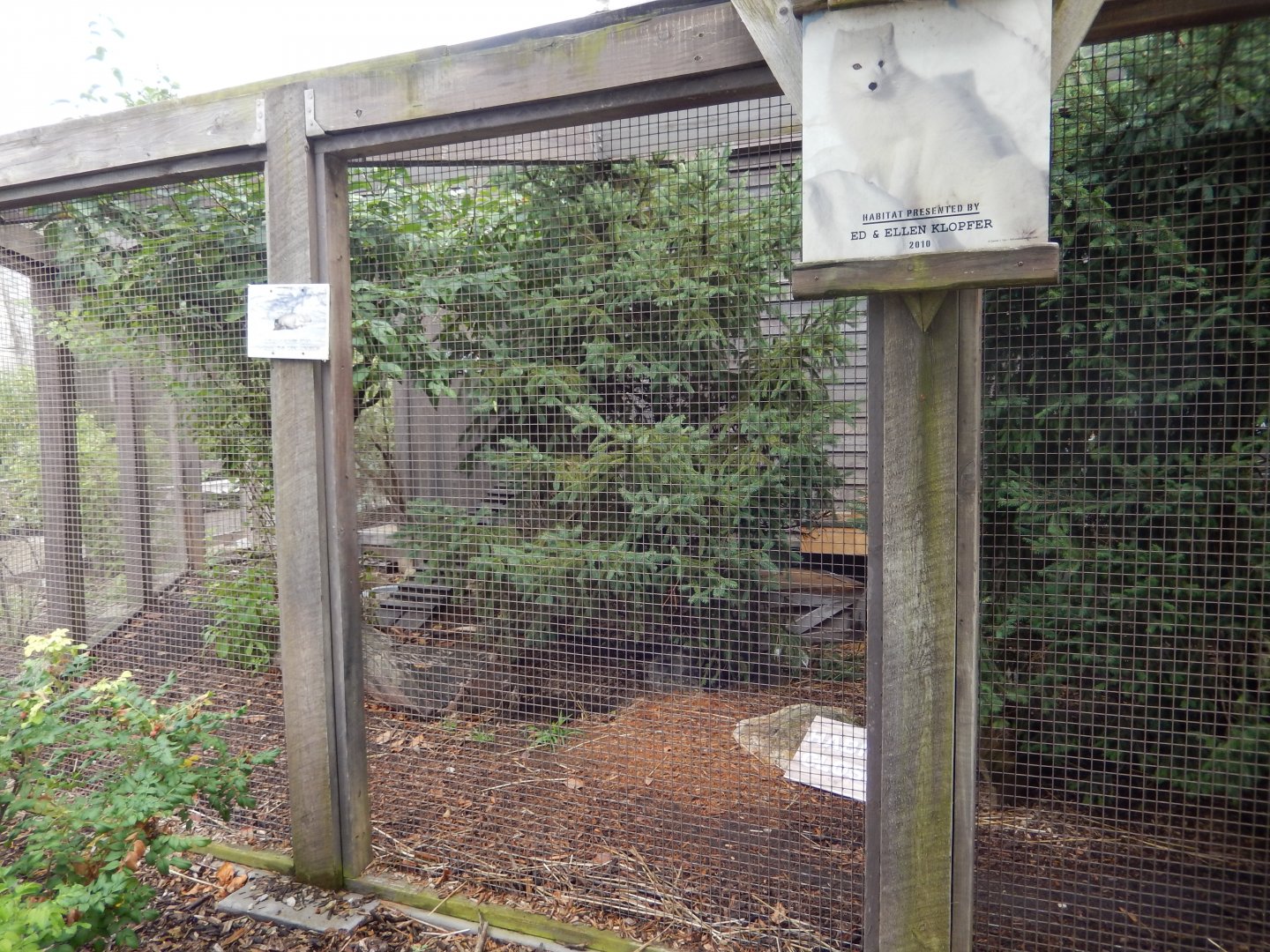 8/11/2018 - Arctic Fox Exhibit