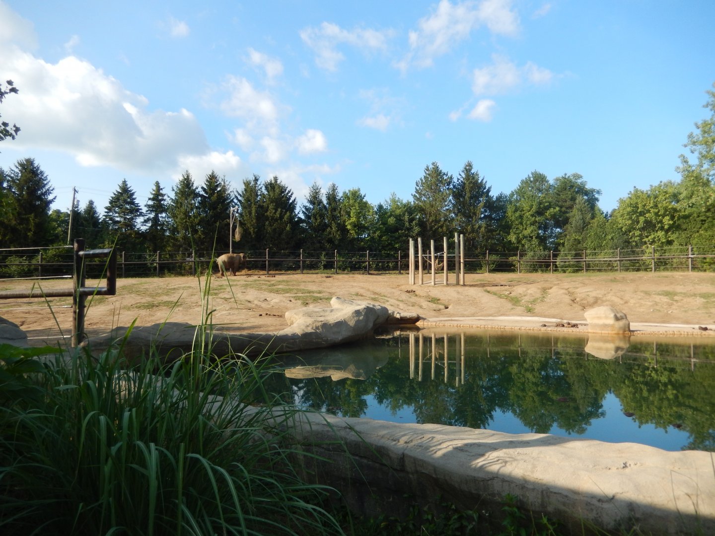 8/11/2018 - Asian Elephant Habitat