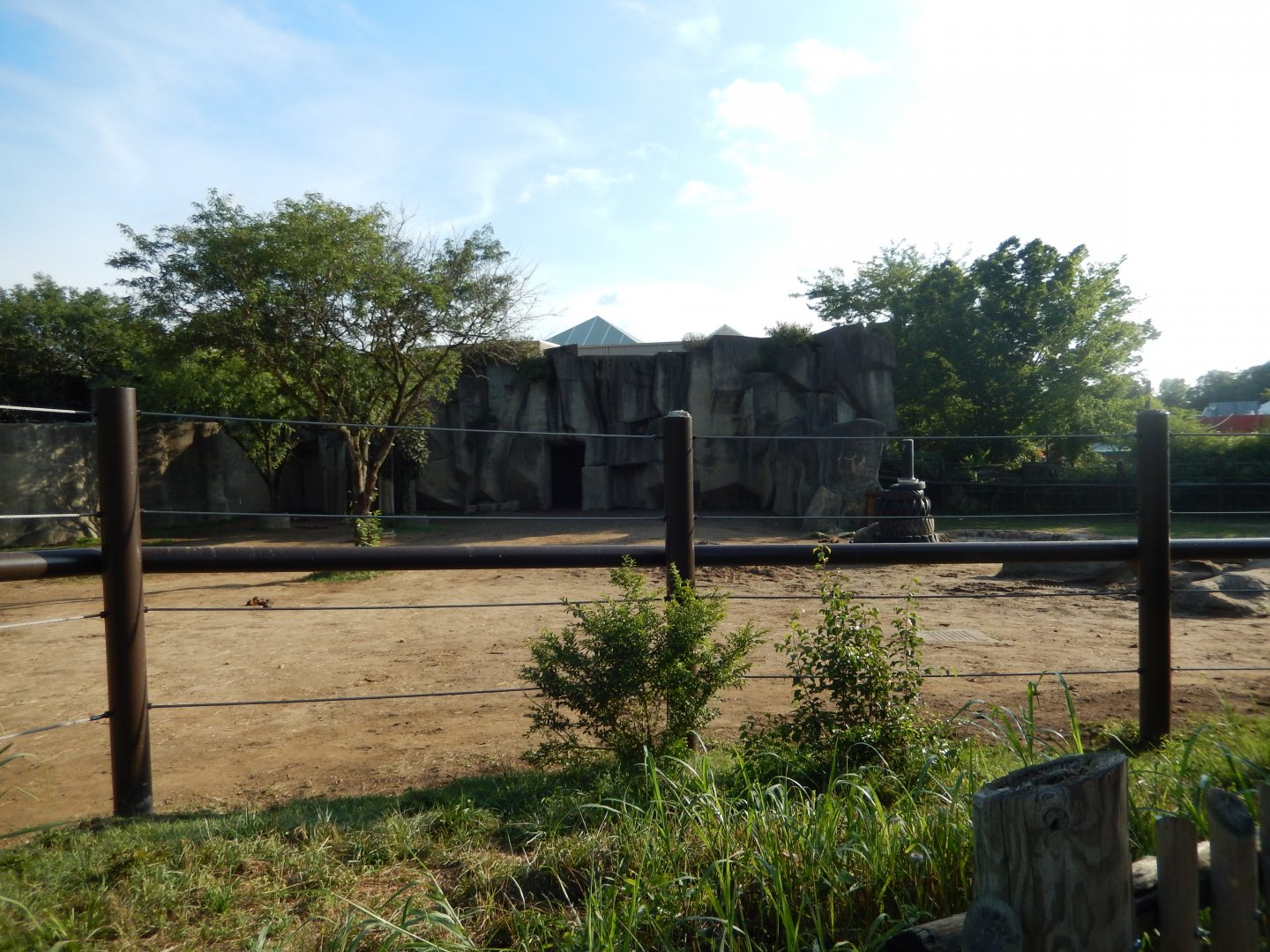 8/11/2018 - Asian Elephant Habitat