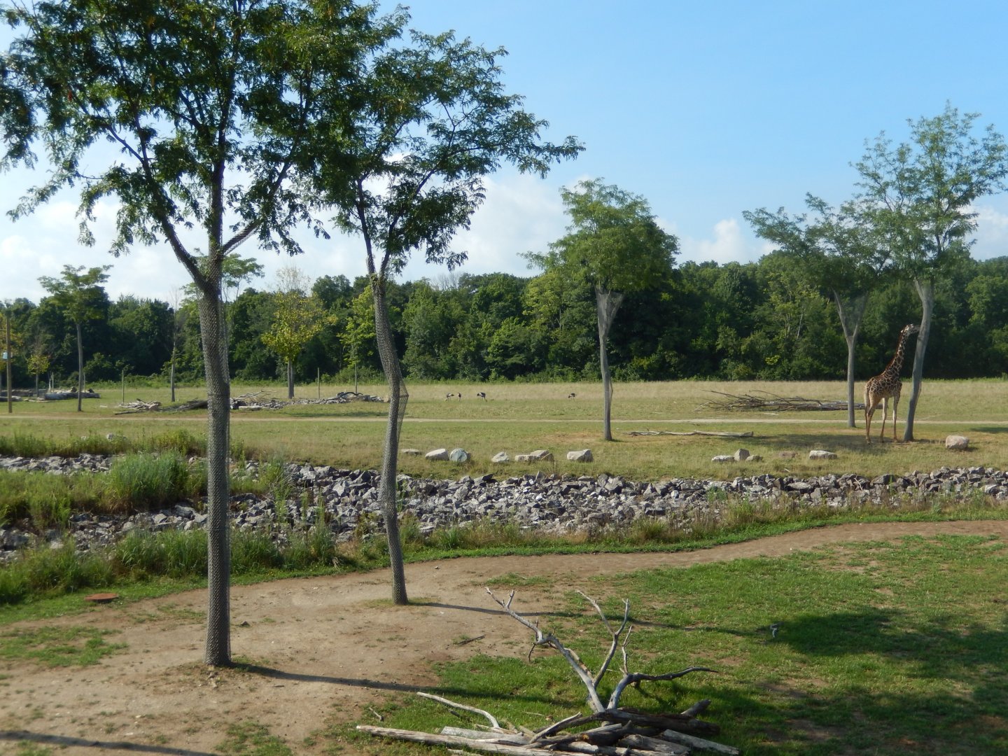 8/11/2018 - Breathtaking