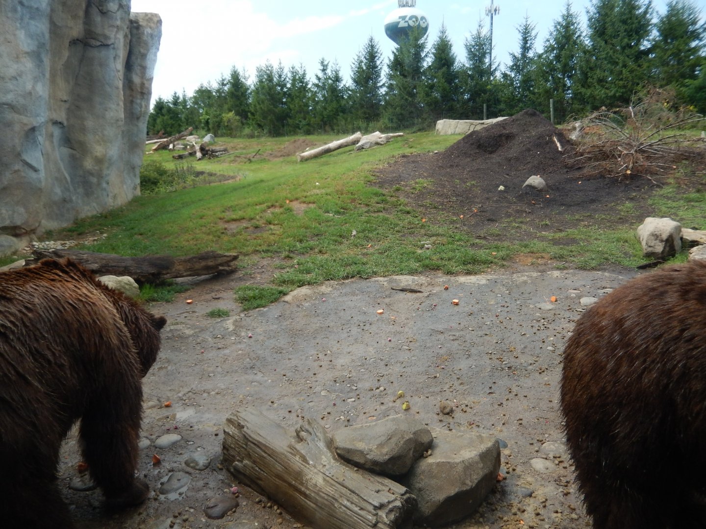 8/11/2018 - Brown Bear Habitat