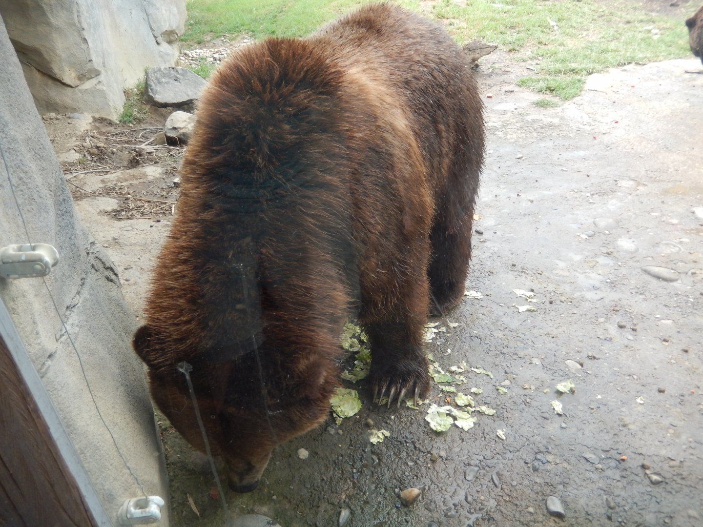8/11/2018 - Chowin' Down