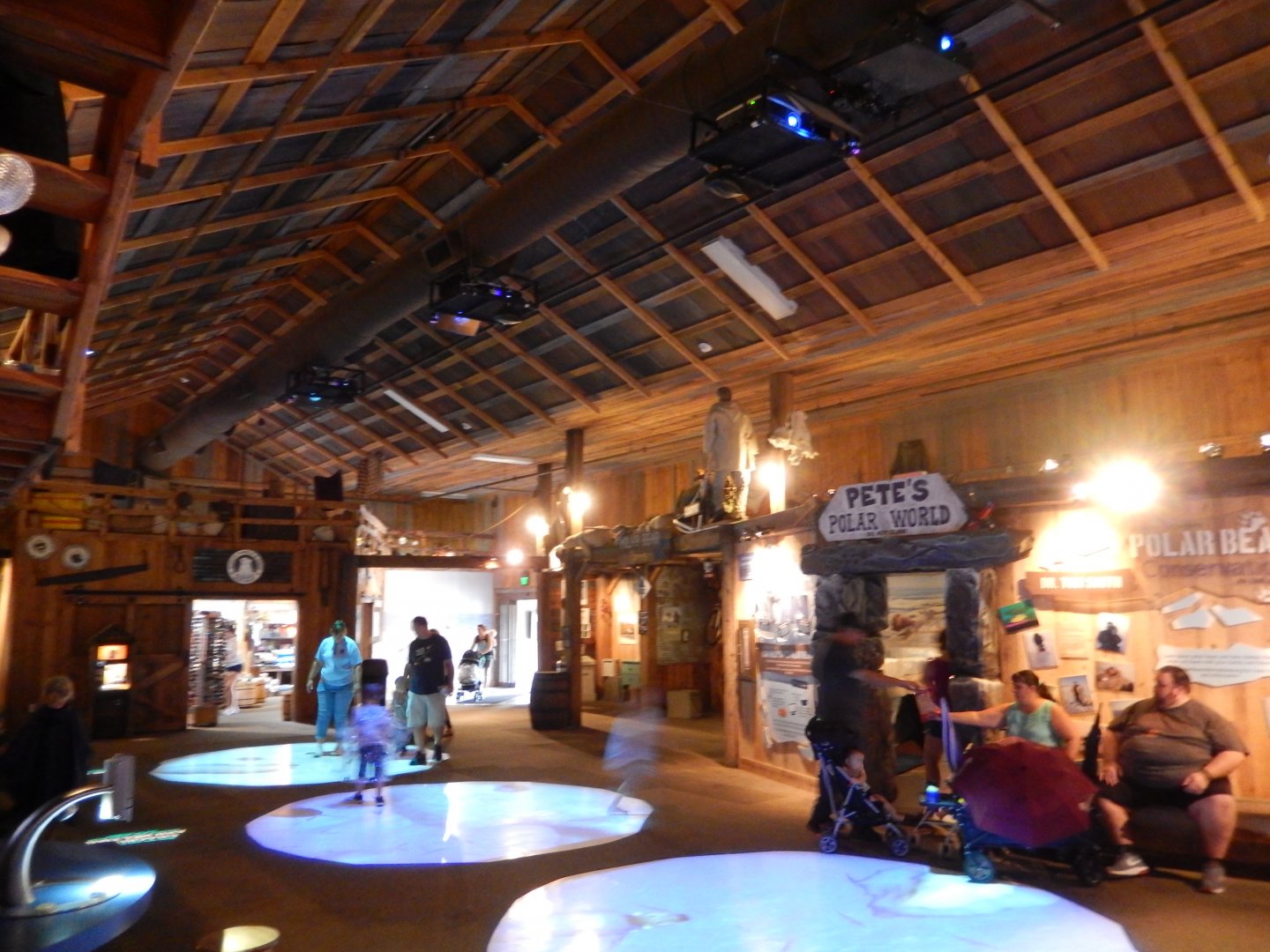 8/11/2018 - Ice Bear Outpost - General View