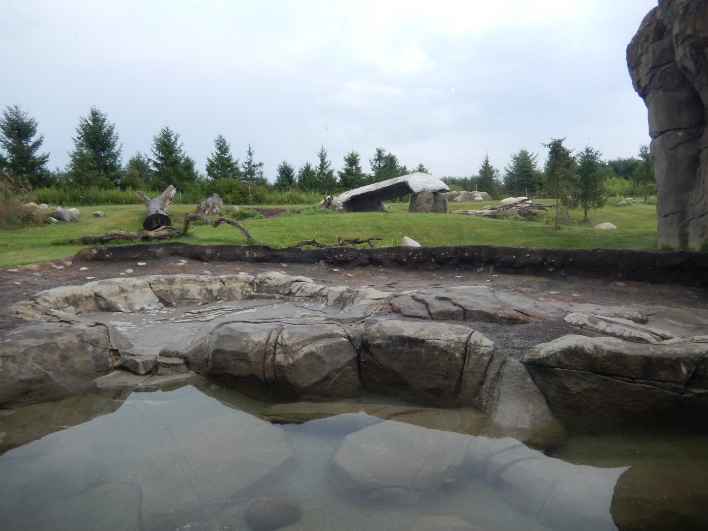 8/11/2018 - Polar Bear Habitat