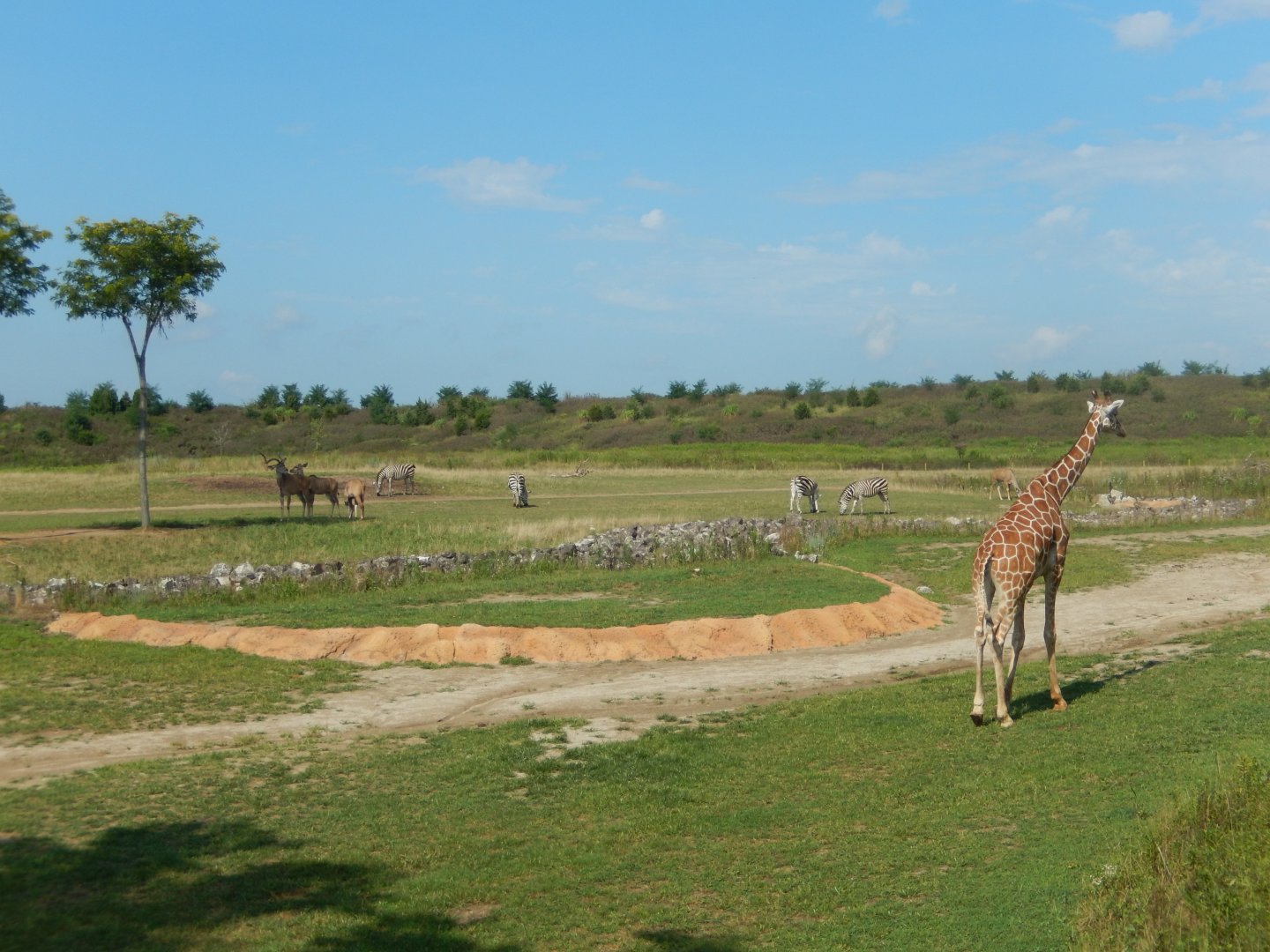 8/11/2018 - Stunning Savanna View