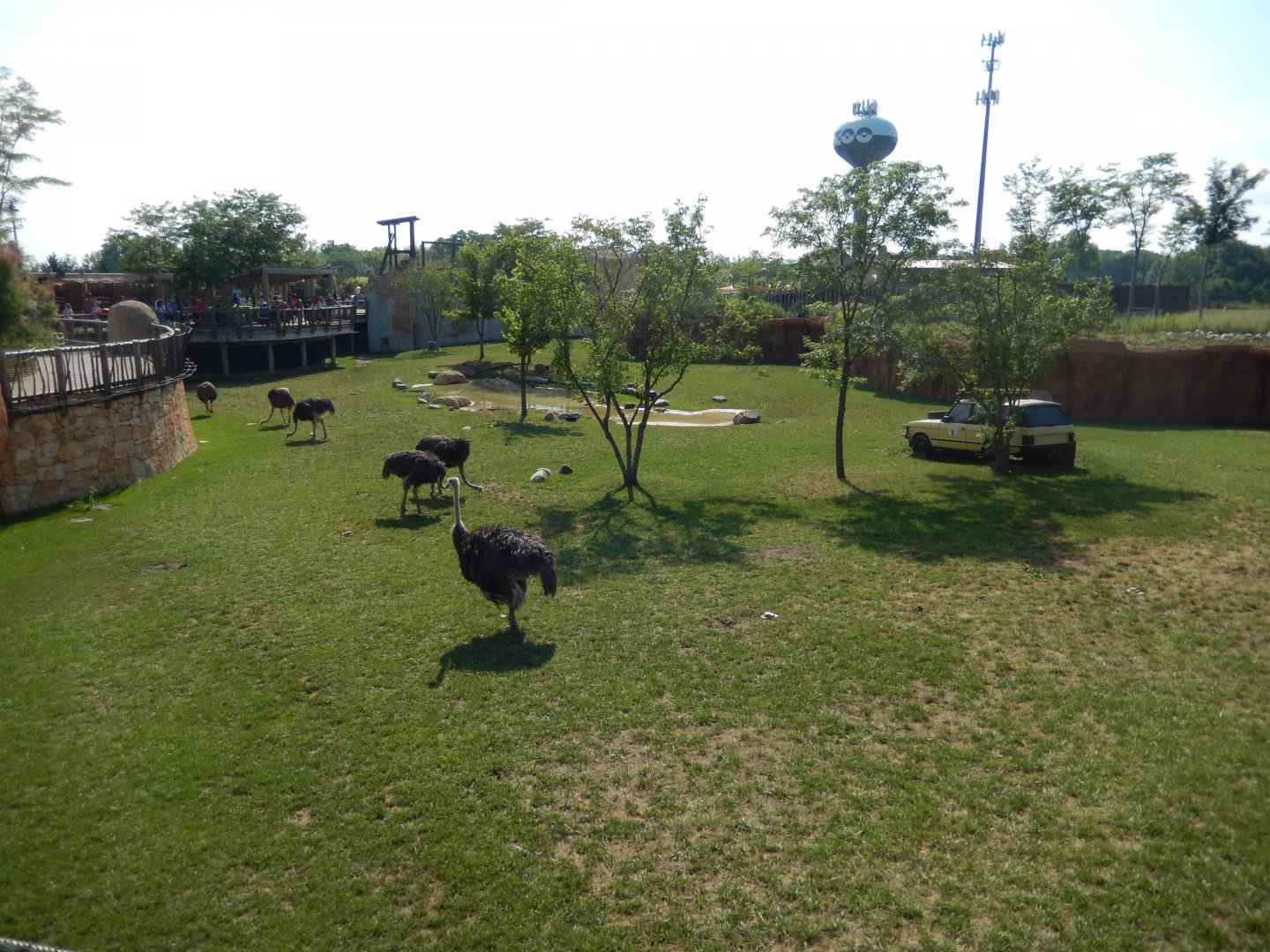 8/11/2018 - Waterhole Habitat