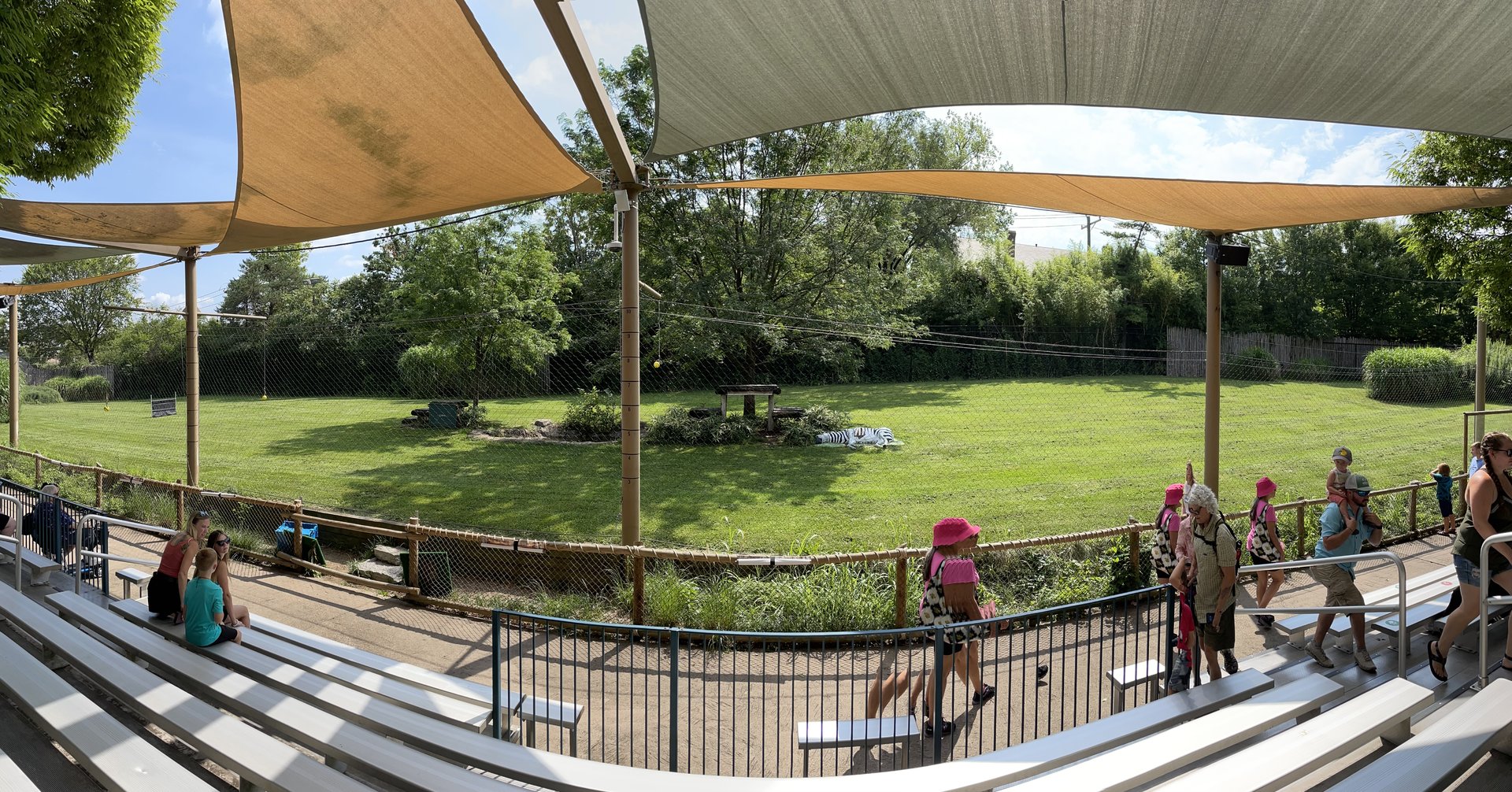 8/11/2023 - Cheetah Encounter Arena