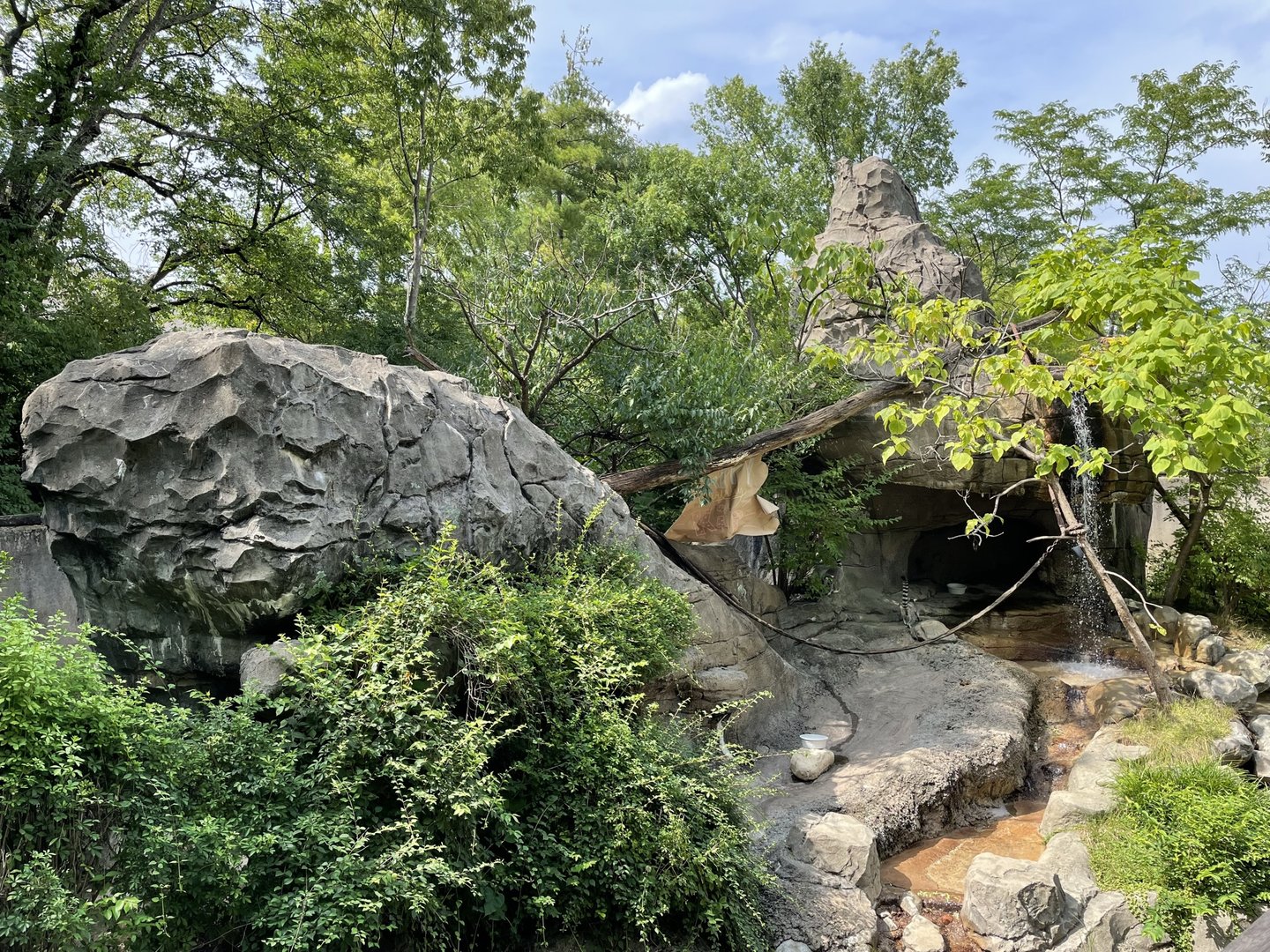 8/11/2023 - Lemur Lookout